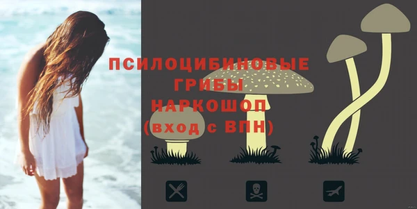 ECSTASY Горнозаводск