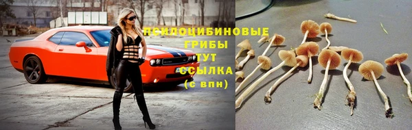 ECSTASY Горнозаводск