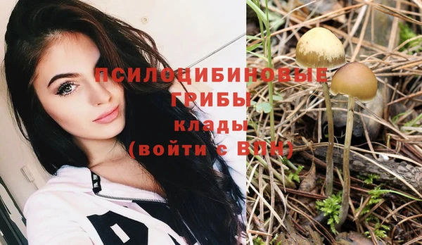 дживик Горно-Алтайск