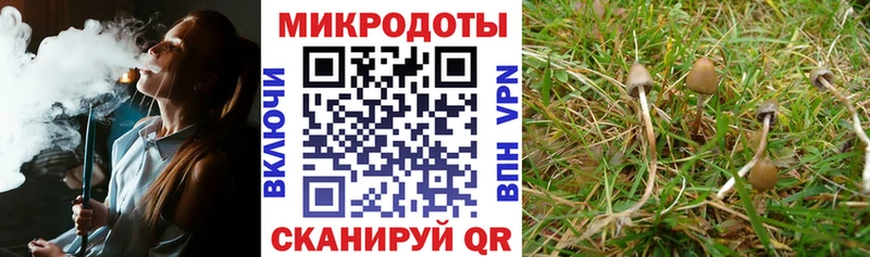 Купить где  Кировск  Галлюциногенные грибы Psilocybine cubensis 
