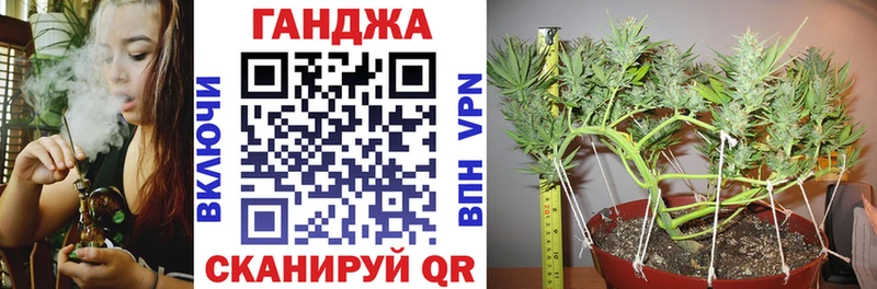 Купить закладки  Кировск  Конопля тримм 